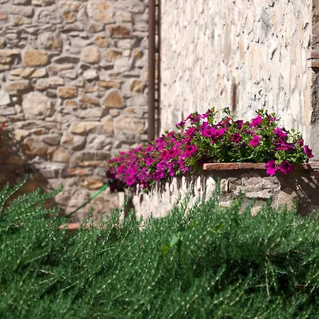 Bauernhof La Casa Di Rodo *